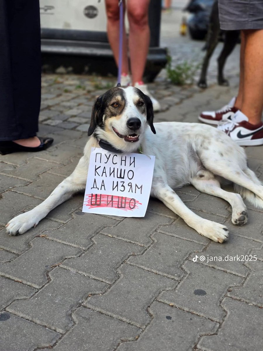 Kristy~възхитената Българка 🇧🇬 (@antegotovina666) on Twitter photo 