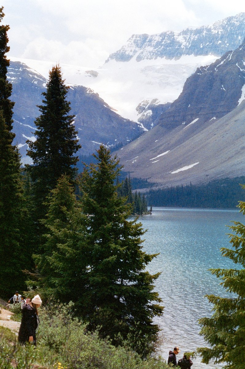 A set shot on HARMAN Phoenix II from @calebknueven  (And yes, there's some barn action in there)!

#harmanphoenix2 #phoenixfilm2 #harmanphoto