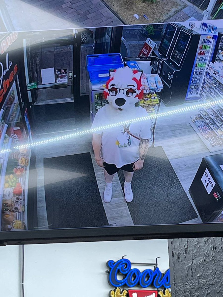 RivalsTheHusky's tweet image. caught on camera