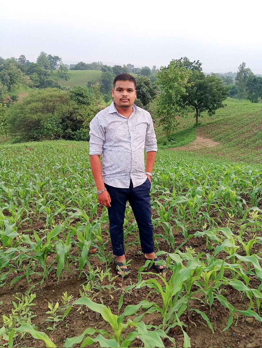 anil_h_rathva's tweet image. પ્રકૃતિ ના ખોળે 😊🌱🌽 🌳
.
.
.
.
#villagelife #rathva #chhotaudepur #viralpost #adivasiculture #Agriculture