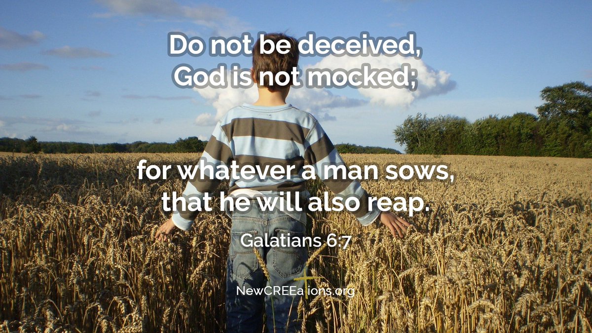 BaileyJoy9's tweet image. If you fill your heart and mind with the things of the world, you cannot REAP the good things of God.
We reap what we sow. Let's try to sow the good things of God into our hearts and minds so that our focus will always be aligned with His! Then we won't miss out on any blessingsโฆ