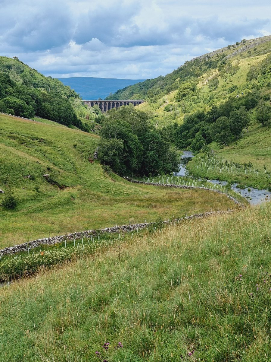 Sheila Gregory (@sheilag17662835) on Twitter photo Yesterday, we went to super <a href="/cumbriawildlife/">CumbriaWildlifeTrust</a> Trust Smardale. The #wildflowers are fantastic at the moment .I recommend a visit. Yesterday, we went to super <a href="/cumbriawildlife/">CumbriaWildlifeTrust</a> Trust Smardale. The #wildflowers are fantastic at the moment .I recommend a visit.