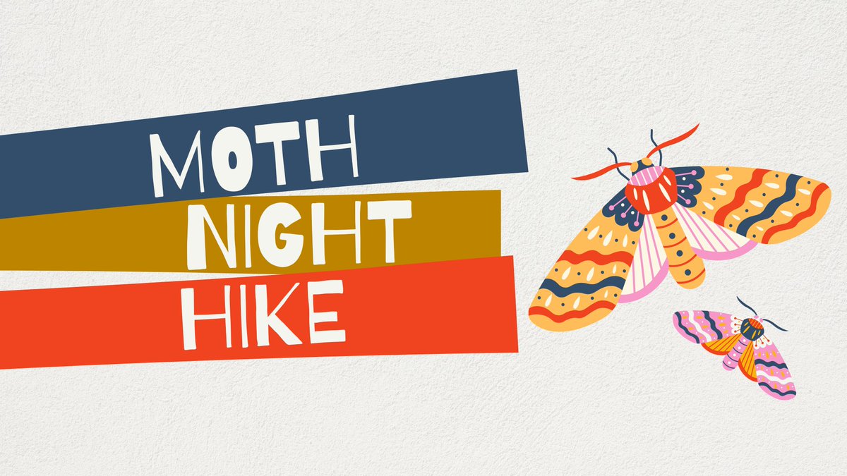 StPeteParksRec's tweet image. Explore Boyd Hill after dark and observe the habits and behaviors of nighttime pollinators: moths. Join us as we kick off National Moth Week!
📅 THIS SATURDAY
⏰ 8:30 - 10 p.m.
Space is limited. Pre-registration is required: stpeteparksrec.org/calendar.php?v…