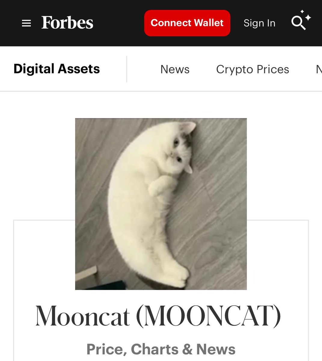 mooncatonmoon's tweet image. Mooncat now on @Forbes 

forbes.com/digital-assets…