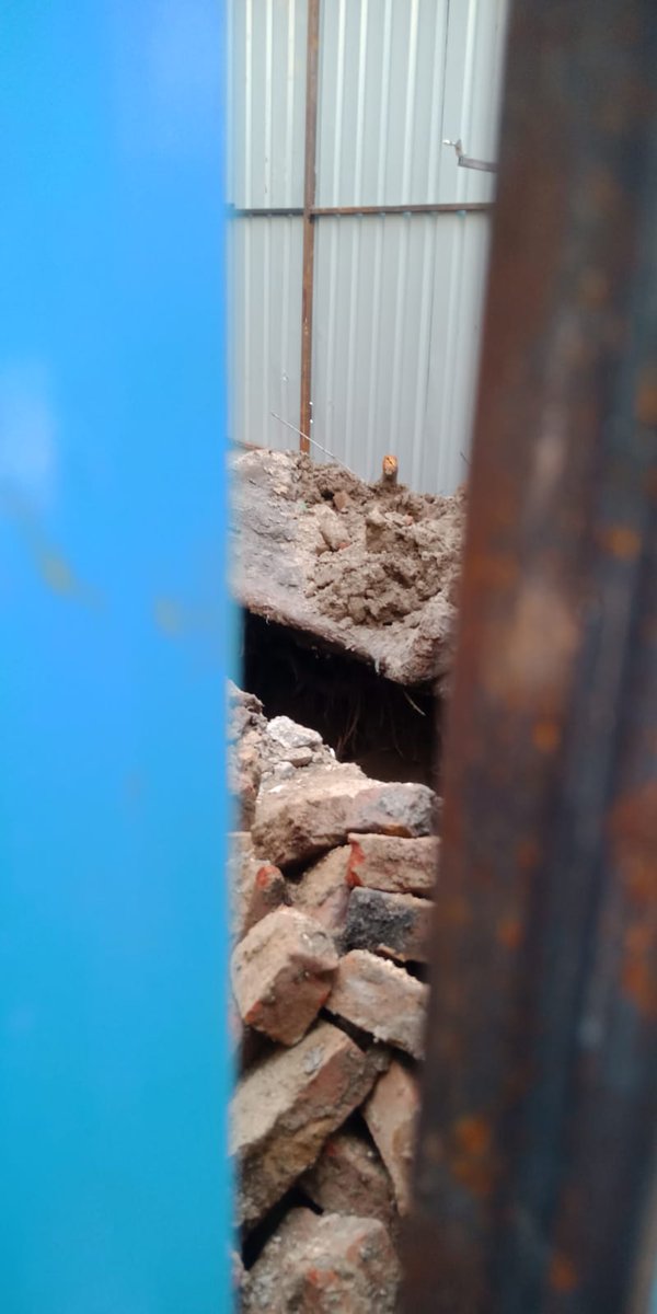 C -4/169, YAMUNA VIHAR DELHI -53
यमुना बिहार स्थित इस ब्लॉट के अन्दर दो पेड़ थे।दोनों को जमीन से काट दिया गया
<a href="/NGTribunal/">Green Tribunal</a> <a href="/CMODelhi/">CMO Delhi</a> <a href="/DelhiPolice/">Delhi Police</a> <a href="/CPCB_OFFICIAL/">Central Pollution Control Board</a> <a href="/moefcc/">MoEF&CC</a> <a href="/EnvironmentPib/">PIB | MoEFCC</a> <a href="/Ncscm_Moefcc/">NCSCM, MoEF&CC</a> <a href="/OMoefcc/">Ozone Cell, MoEFCC</a> <a href="/MCD_Delhi/">Municipal Corporation of Delhi</a> <a href="/LtGovDelhi/">LG Delhi</a> <a href="/gupta_rekha/">Rekha Gupta</a> <a href="/AjayMahawarBJP/">Ajay Mahawar MLA</a> <a href="/BJP4India/">BJP</a>