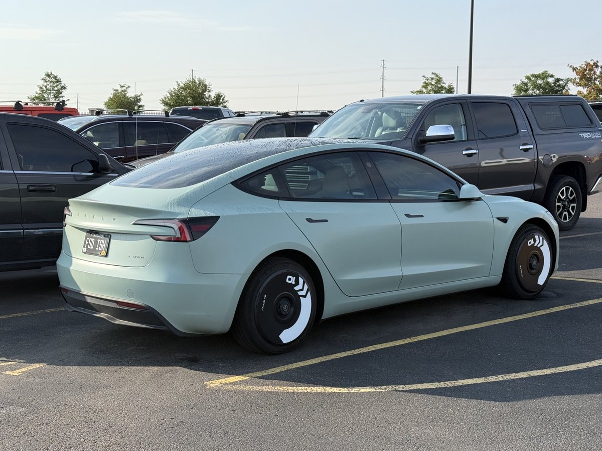 teslaflexx's tweet image. Leaving for vacation and I came across this pistachio model 3 👀