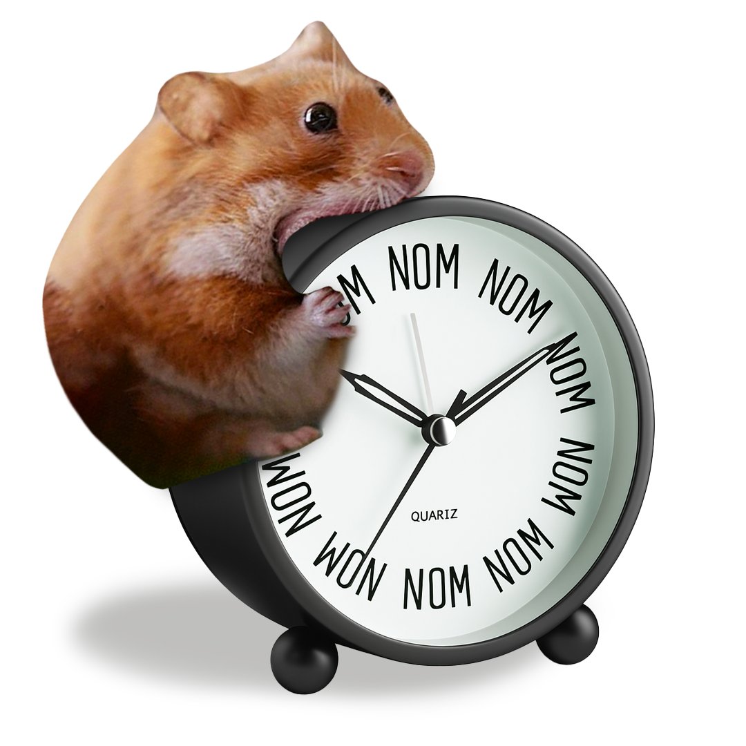 GM! It's NOM o' clock! 🐹🕒
$nomnom