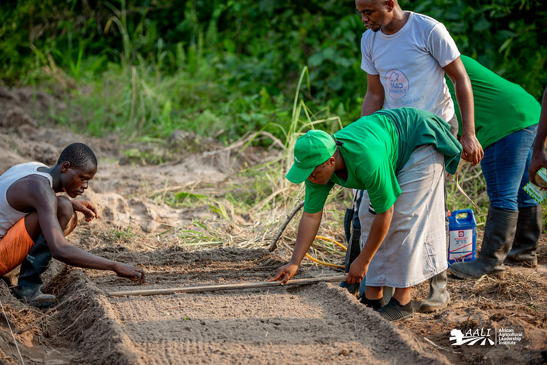 🇨🇩 #DRC | #STEP : 10 alumni transform their school club into an agricultural business in #Kinshasa

Since July 2024, the ITAV SALONGO/Kinshasa alumni have been working to structure a sustainable agricultural business, with technical support from the AALI Youth Brigade.

Their