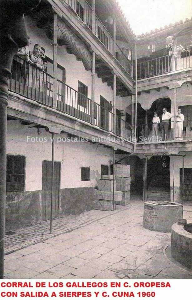 Estrella Carreño ۞®️ tweet media