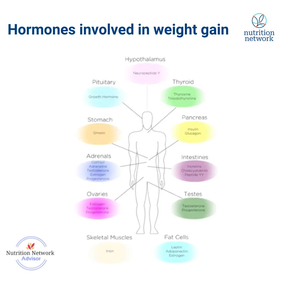 NutritionNetwrk's tweet image. Dr Hassina Kajee - Carb Free MD provides an in depth understanding of nutrition’s role in developing and reversing chronic disease and obesity.
We get a comprehensive understanding of the role of insulin, weight gain and how we are able to improve and reverse chronic disease…