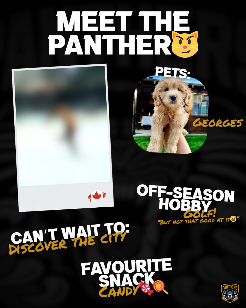 Nottingham Panthers tweet media