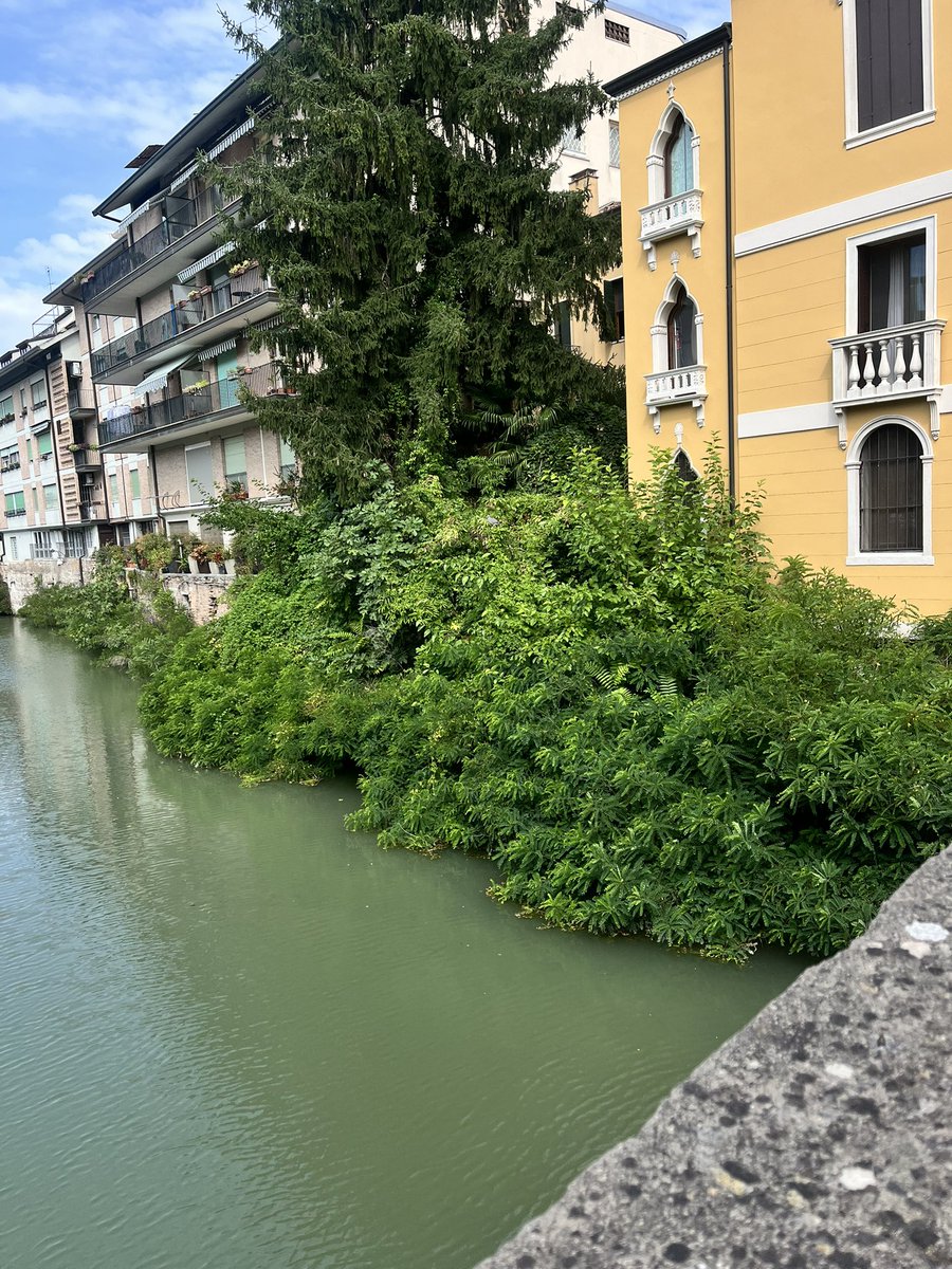 Giuseppe D'Aquino tweet media