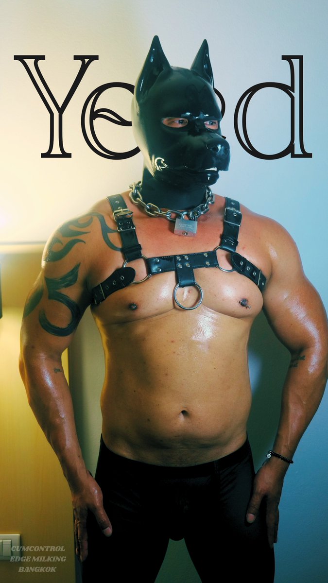 𝕐𝕖𝕖𝕕⚫️

𝑯𝒊 𝒕𝒉𝒆𝒓𝒆! <a href="/Yeed14081950/">Yeed</a> 🫴

#Cumcontrol #Edge #Milking #Bangkok #Yeed