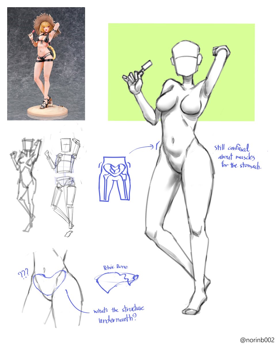 norinb002's tweet photo. I don't understand bones #artstudy https://t.co/Li6HIZWpzF
