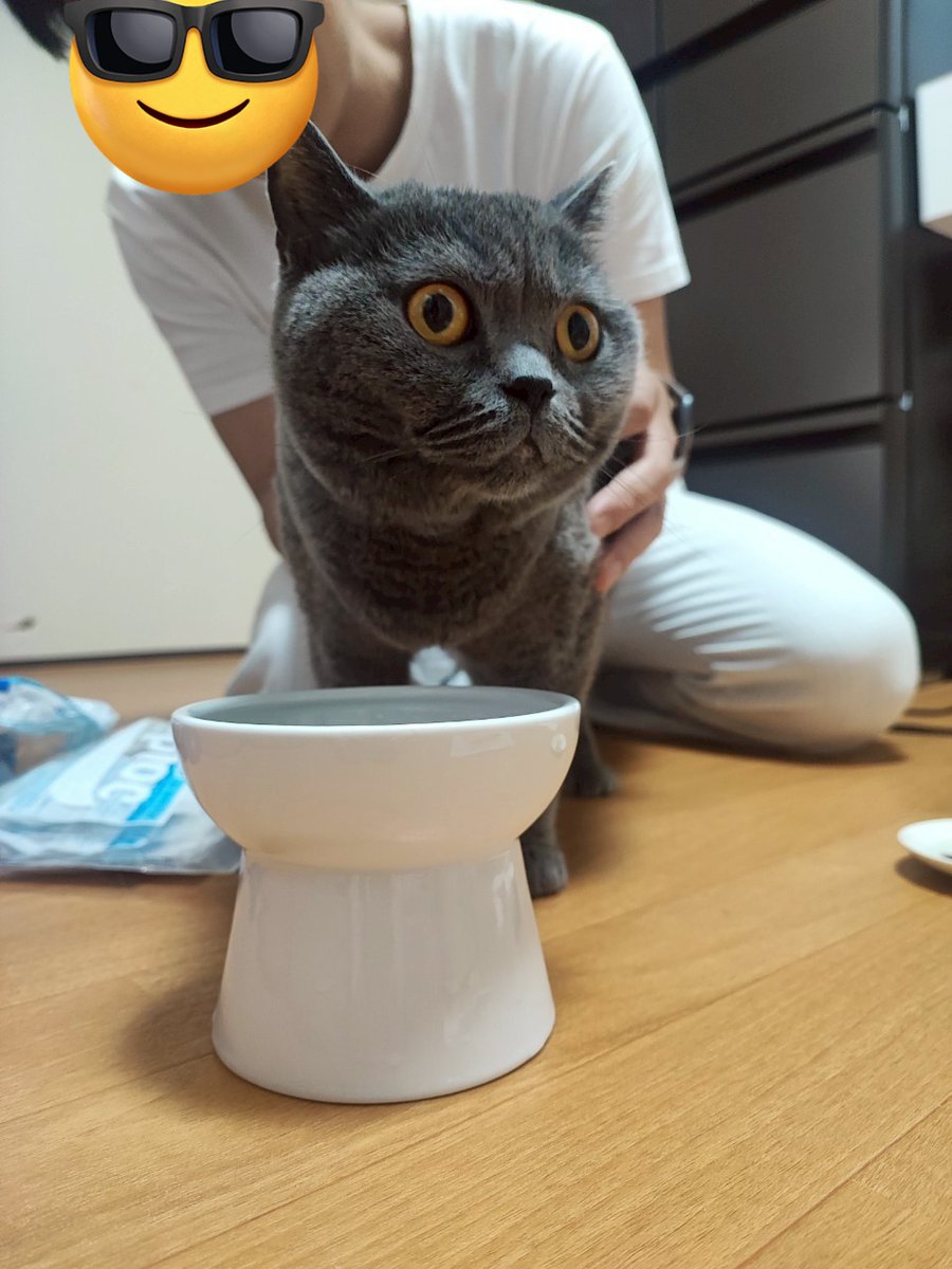 るなのこと大好きすぎたせいでいまだに居ないのが信じられないというか受け入れることができない、頭ではわかってるんだけど 心の中で受け入れたくないのと
どこに行ってるんだろうという感覚が抜けない
るな帰ってきてほしいよ〜