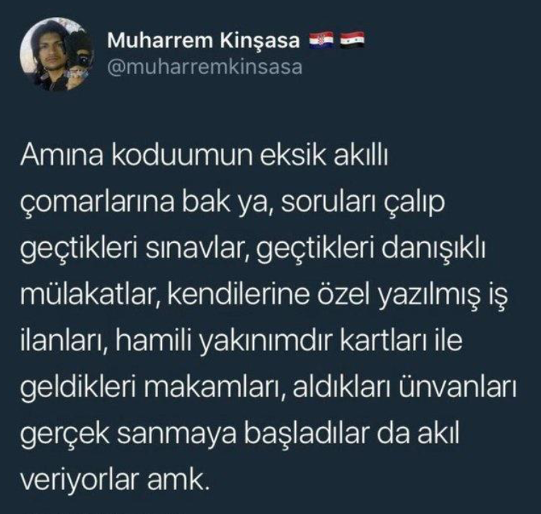 İT KÖPEK A.Ş. (@itkopekas_) on Twitter photo 