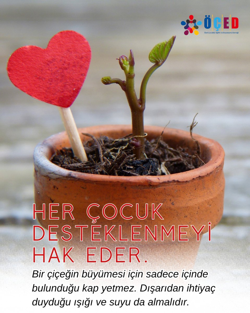 Bir çiçeğin büyümesi için sadece içinde bulunduğu kap yetmez. Dışarıdan ihtiyaç duyduğu ışığı ve suyu da almalıdır. 

#ÖÇED #özelgereksinim #özeleğitim #tbt