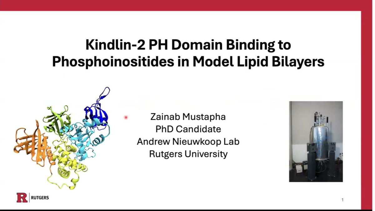 Global NMR Discussion Meetings tweet media