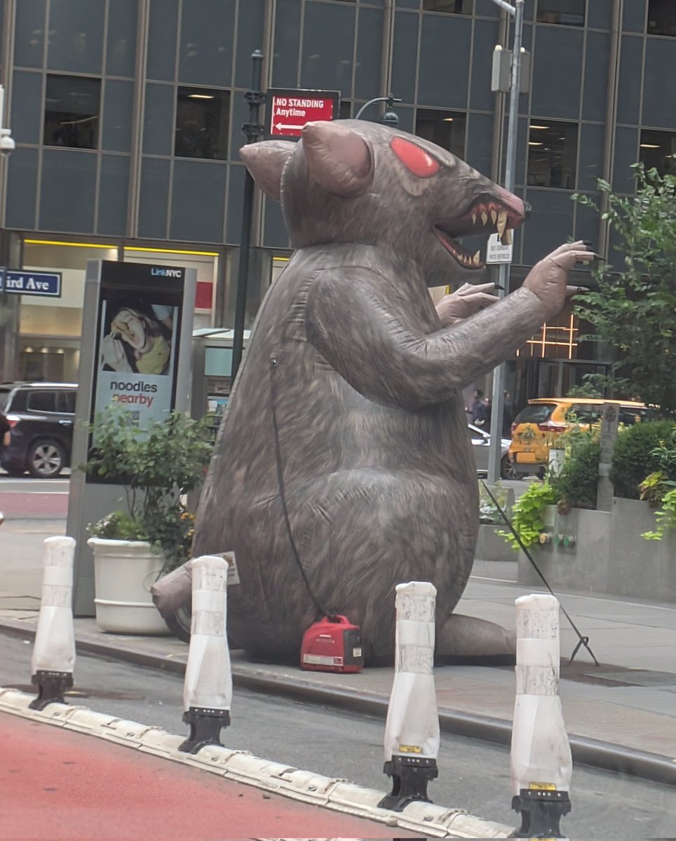 jesuslasupajew's tweet image. Ts remind me of you... Cuz you thought you blew up but whole time you a rat 😭✌️🏌️