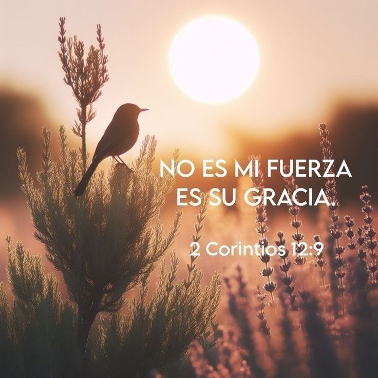 CynthiaCuenca2's tweet image. No soy yo es Él🔥