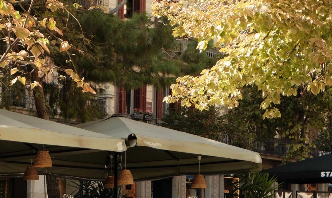 beIIedesoire's tweet image. 