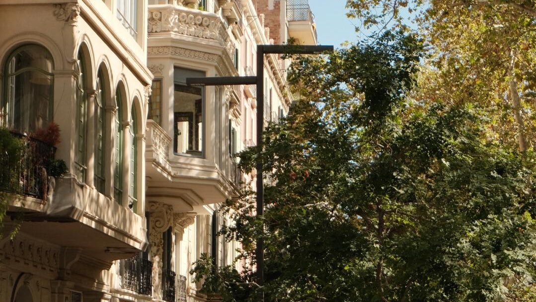 beIIedesoire's tweet image. 