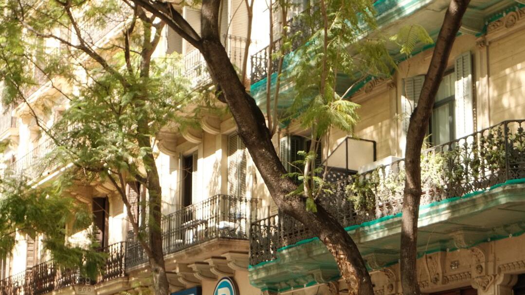 beIIedesoire's tweet image. 