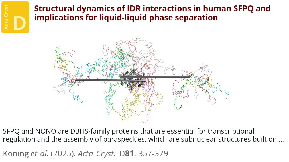 ActaCrystD's tweet image. Structural studies of the intrinsically disordered regions of human SFPQ reveal that it is capable of swapping dimer partners with itself  @uwanews @unimelb @ActaCrystD @IUCr #PhaseSeparation #Disorder #Flexibility doi.org/10.1107/S20597…