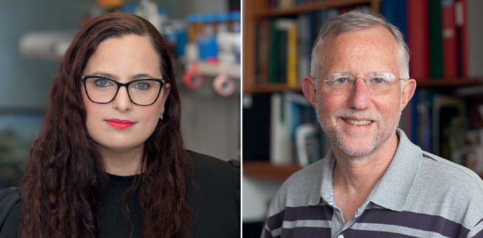 NatureSMB's tweet image. New online! Q&A with Yael David and Charles Rice on using chromatin biology to understand hepatitis bit.ly/4nYQqwI