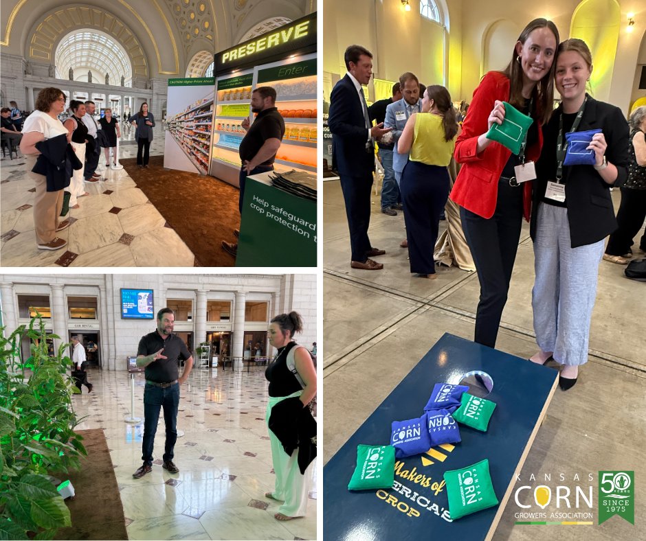 kscorn's tweet image. Yesterday was a big day in DC! Our leaders and Collegiate Academy students met with the Kansas delegation to talk about the issues that matter most to our members. Then we capped it off with a fun evening of cornhole and connecting with DC’s movers and shakers! 🌽 #kscorn…