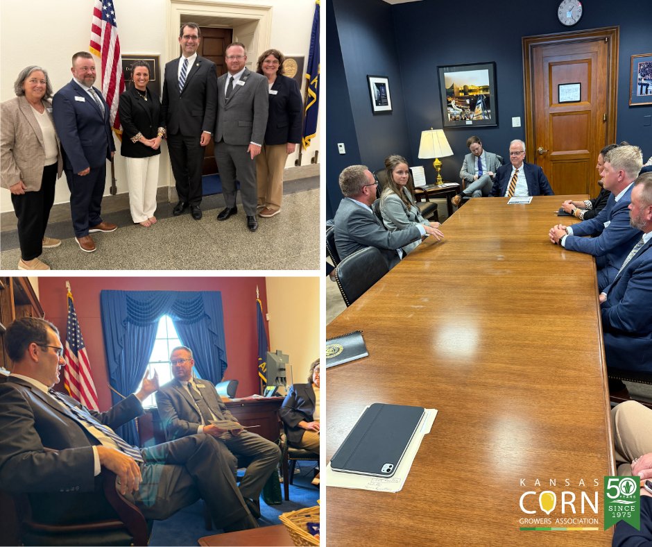 kscorn's tweet image. Yesterday was a big day in DC! Our leaders and Collegiate Academy students met with the Kansas delegation to talk about the issues that matter most to our members. Then we capped it off with a fun evening of cornhole and connecting with DC’s movers and shakers! 🌽 #kscorn…