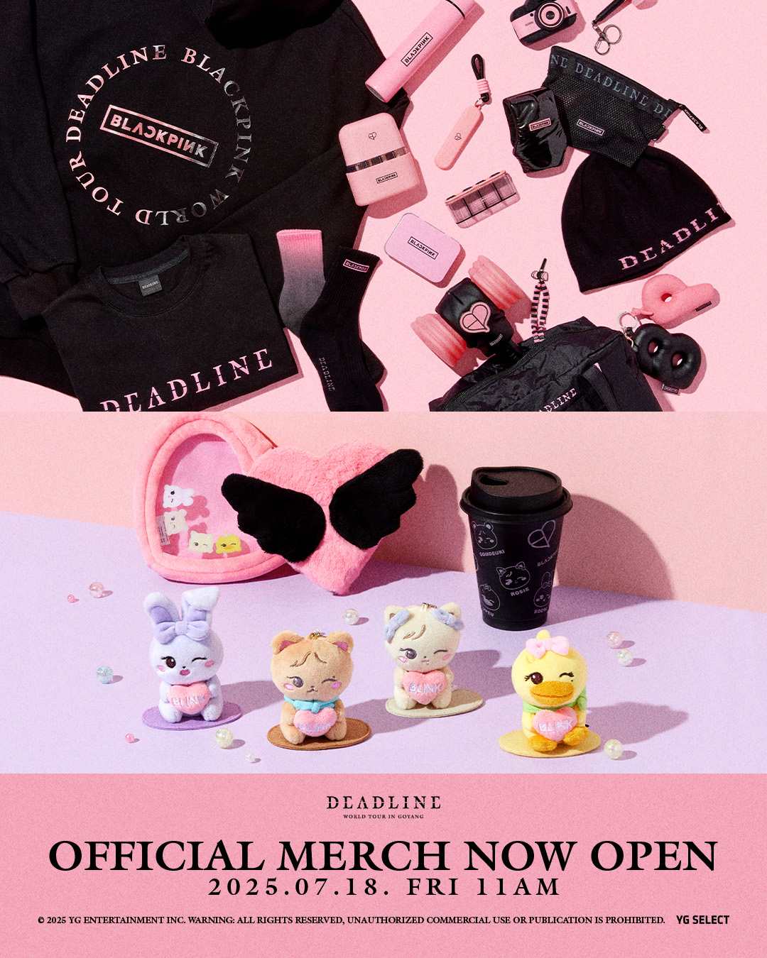 BLACKPINK DEADLINE in GOYANG 限定トレカ ジスセット BLACKPINK DEADLINE in GOYANG 限定トレカ ジスセット BLACKPINK