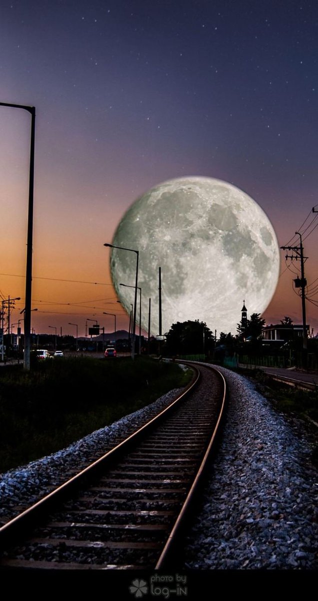 Nature Pics (@naturepicsc) on Twitter photo 