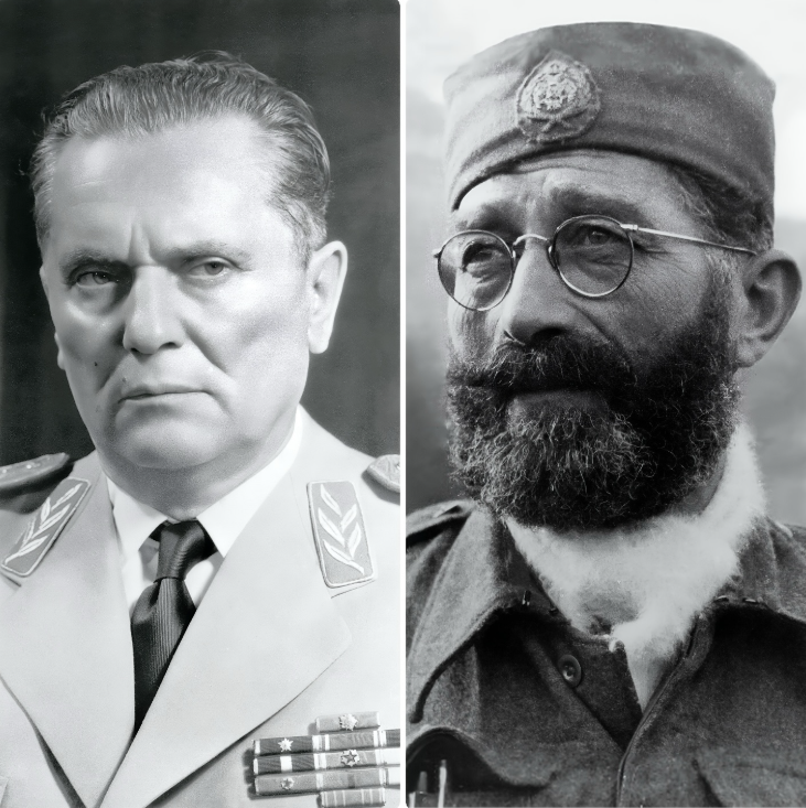 GordanaBaljevic's tweet photo. На данашњи дан 1946. године убијен је генерал Драгољуб Михаиловић. У знак сећања, направићу поређење, не идеолошко, већ образовно, између Јосипа Броза и Драгољуба Михаиловића.

🔴 Јосип Броз - помоћник бравара

Завршио је само четворогодишњу сеоску основну школу у Аустроугарској, и то тек након пет година, јер је понављао други разред. Није имао формално образовање изван тога, није био школован бравар, већ само његов помоћник.

Војну школу никада није похађао. Чин поднаредника стекао је у аустроугарској војсци, где се борио против Срба у Мачви и Подрињу, у униформи силе која је палилa српска села и клала цивиле.

У Југославији је сам себи дао титулу „маршала“, коју му није доделила ниједна војна или државна институција.

🔵 Драгољуб Михаиловић — ђак генерације и официр елите

Потиче из старе официрске породице. После смрти родитеља, одрастао је у Београду код стрица Владимира, ветеринарског мајора српске војске.

Завршио је нижу и вишу Трећу мушку гимназију, а затим и Другу мушку гимназију. На пријемном за Војну академију био је међу најбољима у генерацији. Похађао је 43. класу Ниже школе Војне академије и завршио као један од десеторице најуспешнијих.

Као питомац, истакао се у Балканским ратовима. У Првом светском рату учествовао је у Церској и Колубарској бици, повлачио се преко Албаније, рањаван је на Солунском фронту и више пута одликован.

Након рата завршава Вишу школу Војне академије са одличним успехом. Са чином мајора приступа Генералштабној струци — елити српских официра. Вишу војну специјализацију завршава у Паризу, на престижној „École de guerre“.

Радио је као војни аташе у Софији и Прагу. Говорио је француски, бугарски и чешки. Савршено је знао јахање, плес и мачевање.

Упркос изузетним способностима, напредовање му је често кочено због политичких ривалстава, нарочито од генерала Милана Недића. Тек 1941. године, указом краља Петра II, добија чин армијског генерала.

Драгољуб Михаиловић је, уз војводе српске војске из Великог рата, најодликованији официр у нашој целокупној војној историји. Насупрот њему, Тито — понављач и браварски помоћник, без војне школе, који је сам себи доделио чин маршала.