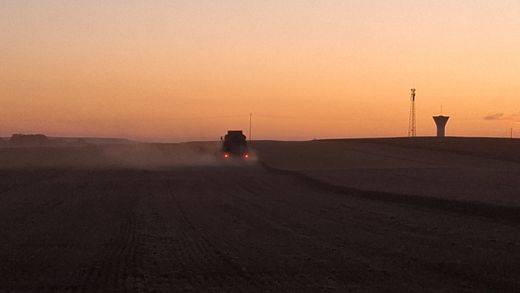 📷 [CONCOURS PHOTO – LUMIÈRES D’ÉTÉ SUR MA FERME ]

📷Photo N°8 Ambiance crépusculaire à Variscourt, capturée par Anne Varlet   !