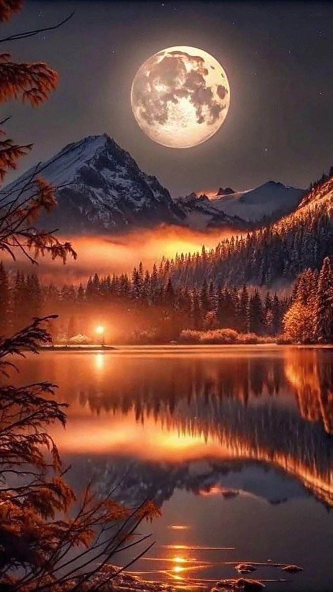 Nature Pics (@naturepicsc) on Twitter photo 