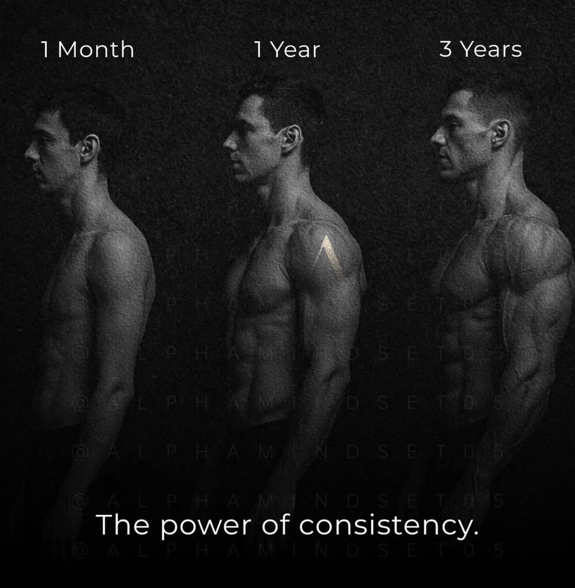 jdminesinc's tweet image. Keep going…the results will come! 🦾🔥💯
#followthesystem
#itworks
#healthiswealth
Take the peak performance challenge today!