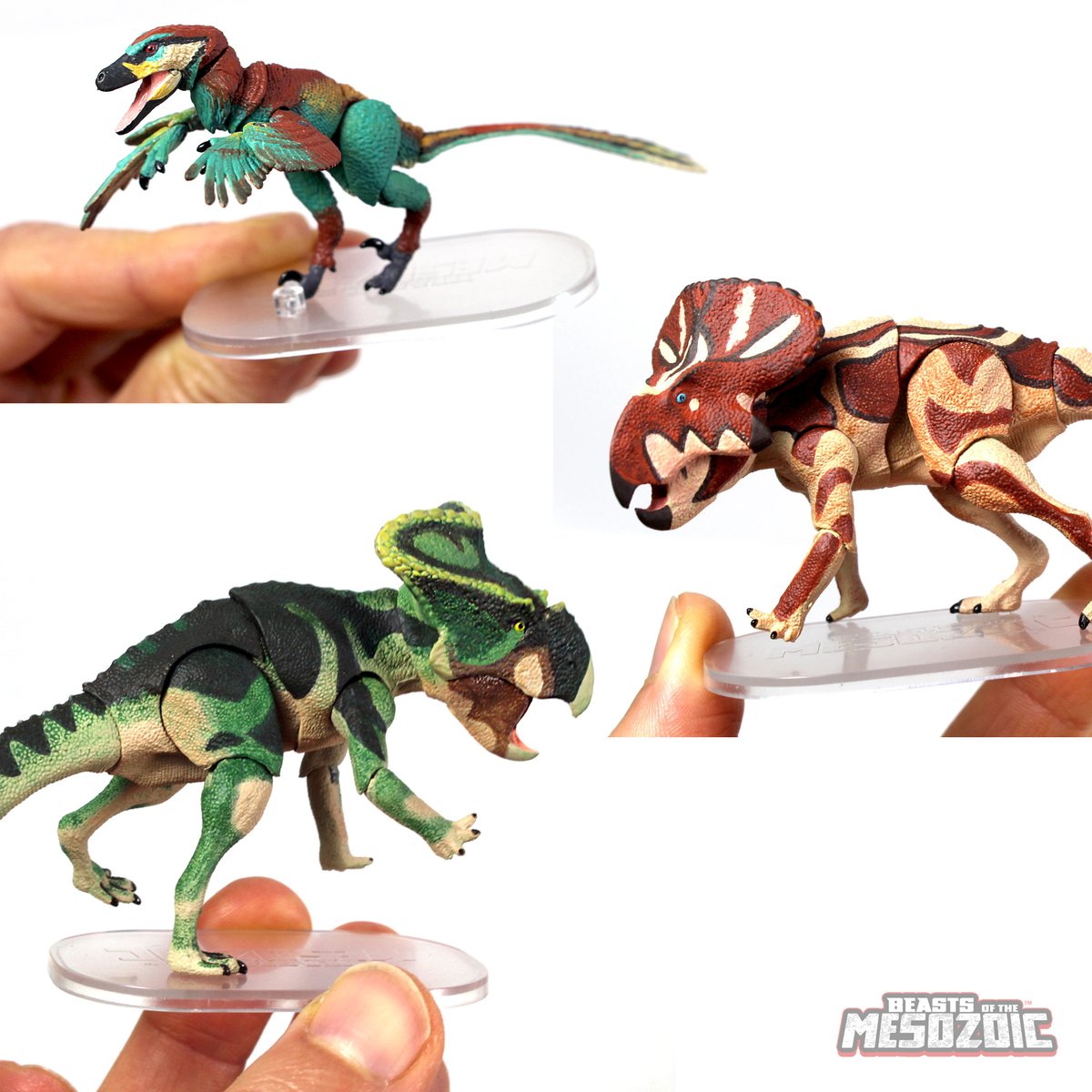 Beast_SculptKit's tweet image. They&apos;re back... but not for long! We&apos;ve had another warehouse find- this time the 4 inch  1/18th scale versions of Linheraptor exquisitus, Protoceratops andrewsi, and Protoceratops hellenikorhinus are back! You can find them here: creative-beast.com/?s=4%22+&amp;amp;post_…