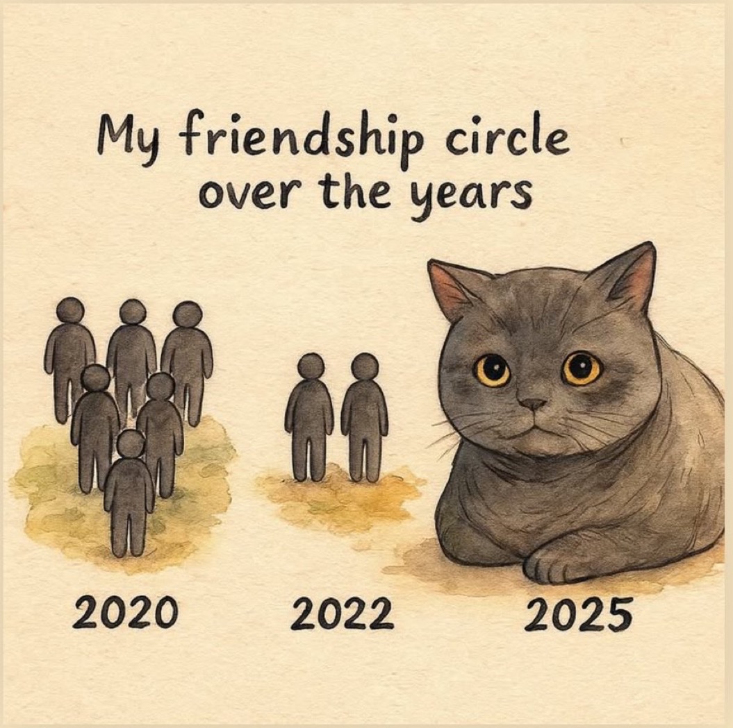 We don't deserve cats 😺 (@catsareblessing) on Twitter photo 
