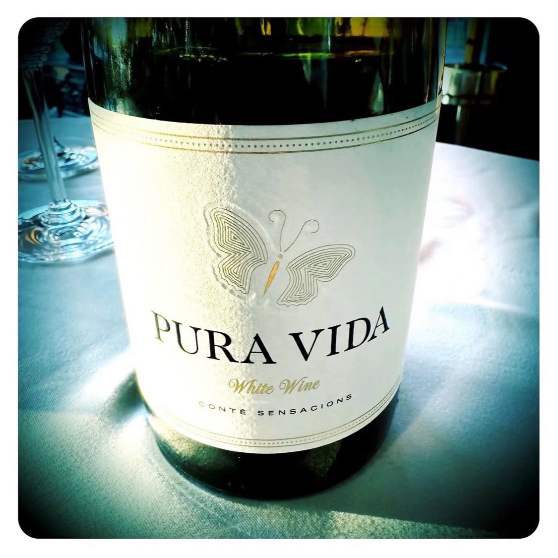 gregsherwoodmw's tweet image. One of the most exciting winery visits of 2025 so far. #finewinesafari #pladebages