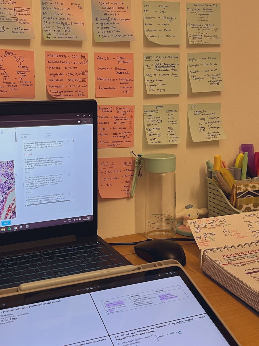 hershey_studies's tweet image. going through surgery again because it’s so vast
#studytwt