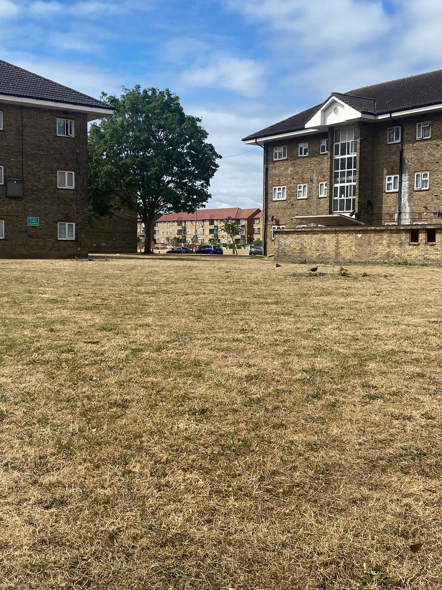 harrietspoor's tweet image. After representations from the Heath Ward Cllrs - the grass on Heath Park and surrounding has been cut - whilst the grass needs a good water (rain is coming this weekend) this will prevent any potential hazards - some communal greens still need cutting but we are on the case!