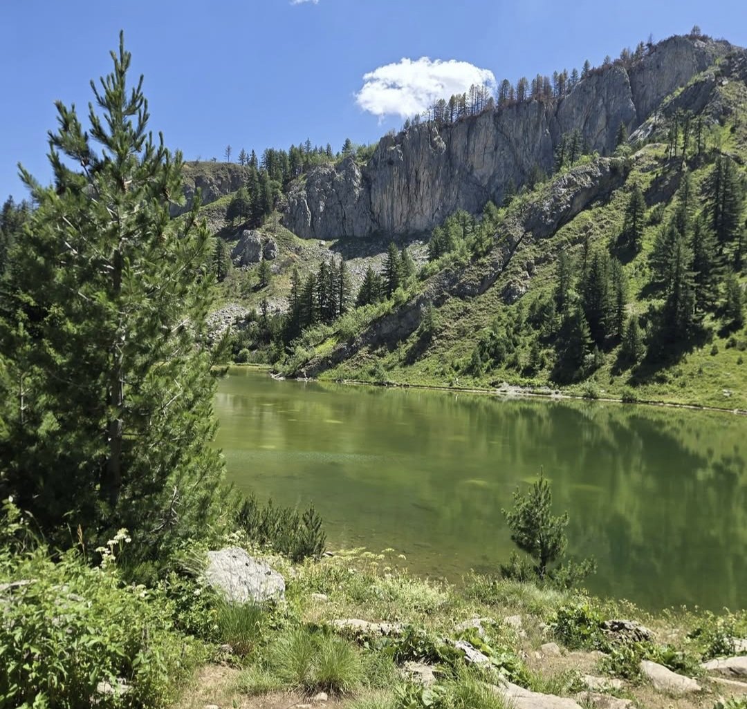 Një bukuri natyre 🍀 një vend përallor 🌟 në Bjeshkët e Rugovës 🥇
°
Liqeni Liqenatit 💎
°
<a href="/ErtonDecani/">Erton</a>
#visitpeja #pejatourism #peja #rugova #travel #experiencepeja #kosova #visitkosova #nature #naturekosova #hiking #hikingtrails #hikingadventures #peaksofthebalkanstrail