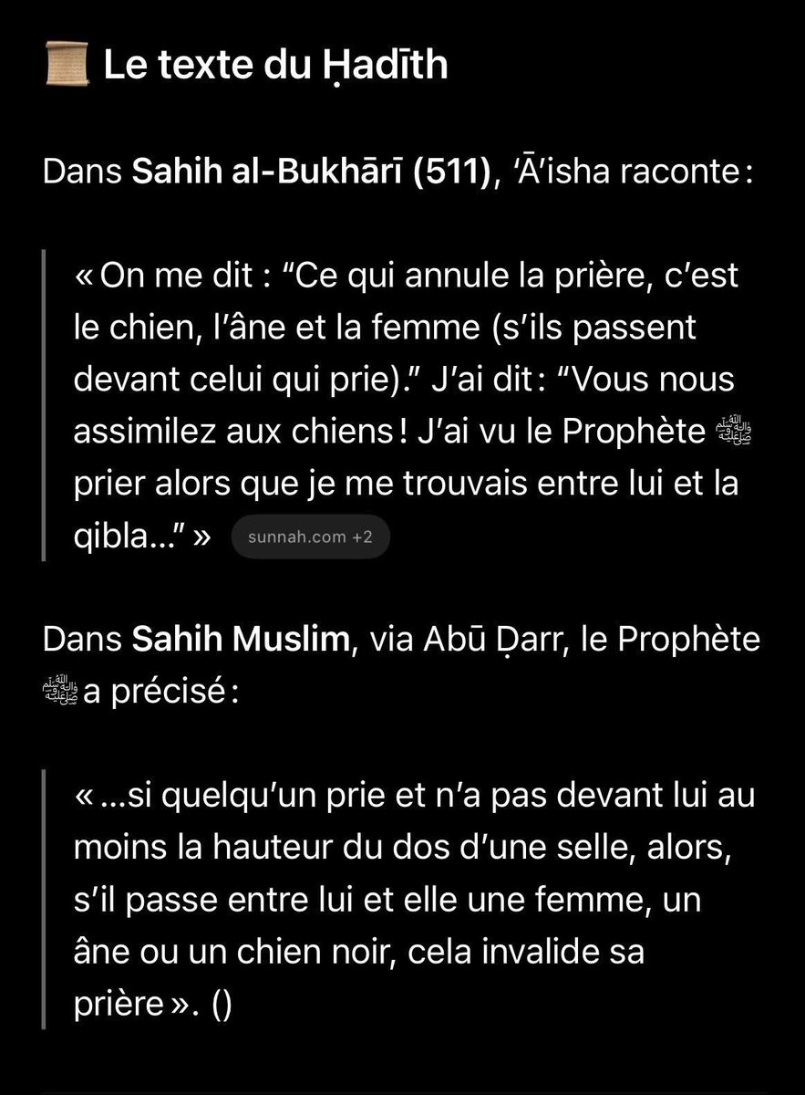 MandanaJavanM_'s tweet image. Envie de vous cultiver sur les sublimes subtilités de la jurisprudence islamique ?!!!
Histoire de vous coucher un peu plus érudit ce soir, méditez donc ces trois merveilles sacrées qui, tenez-vous bien, peuvent annuler la prière des musulmans (y compris ces pieuses…
