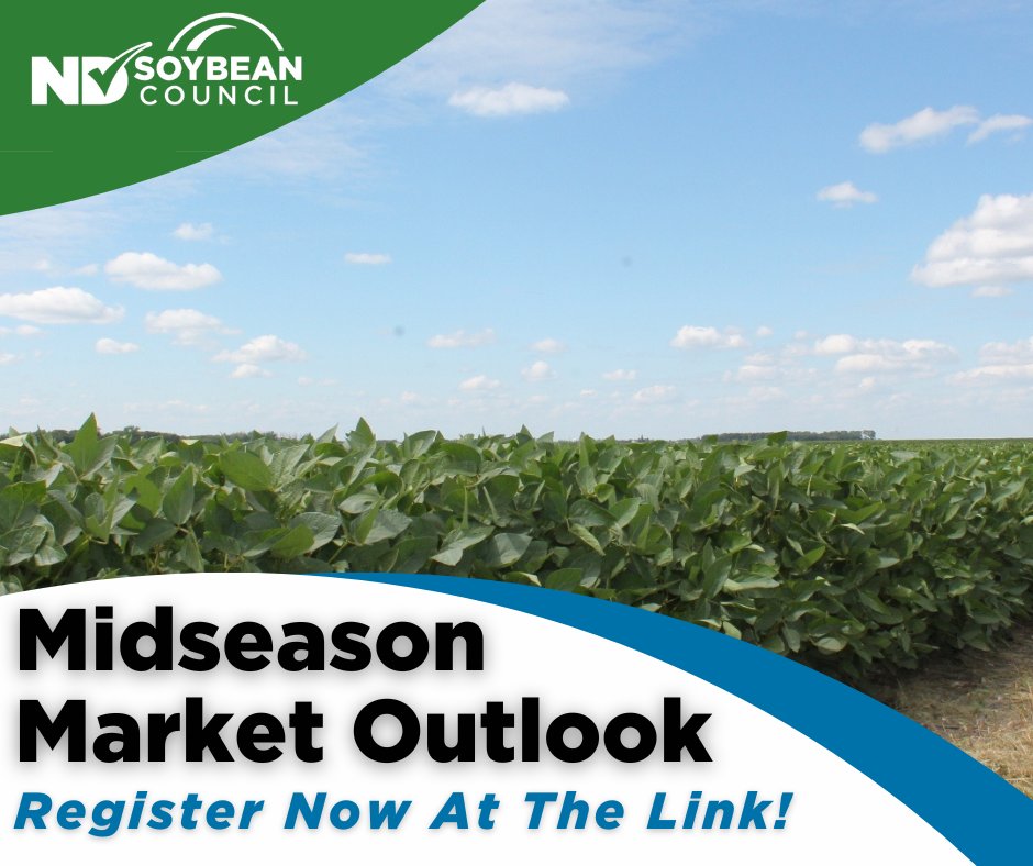 NDSoybean's tweet image. Join the North Dakota Soybean Council for the Midseason Market Outlook Webinar on August 7 from 8:00–11:30 a.m. CST.
Hear from Dr. Bill Wilson, Dr. Frayne Olson, and others as they cover crop progress, global demand, and marketing strategies ahead of harvest.…