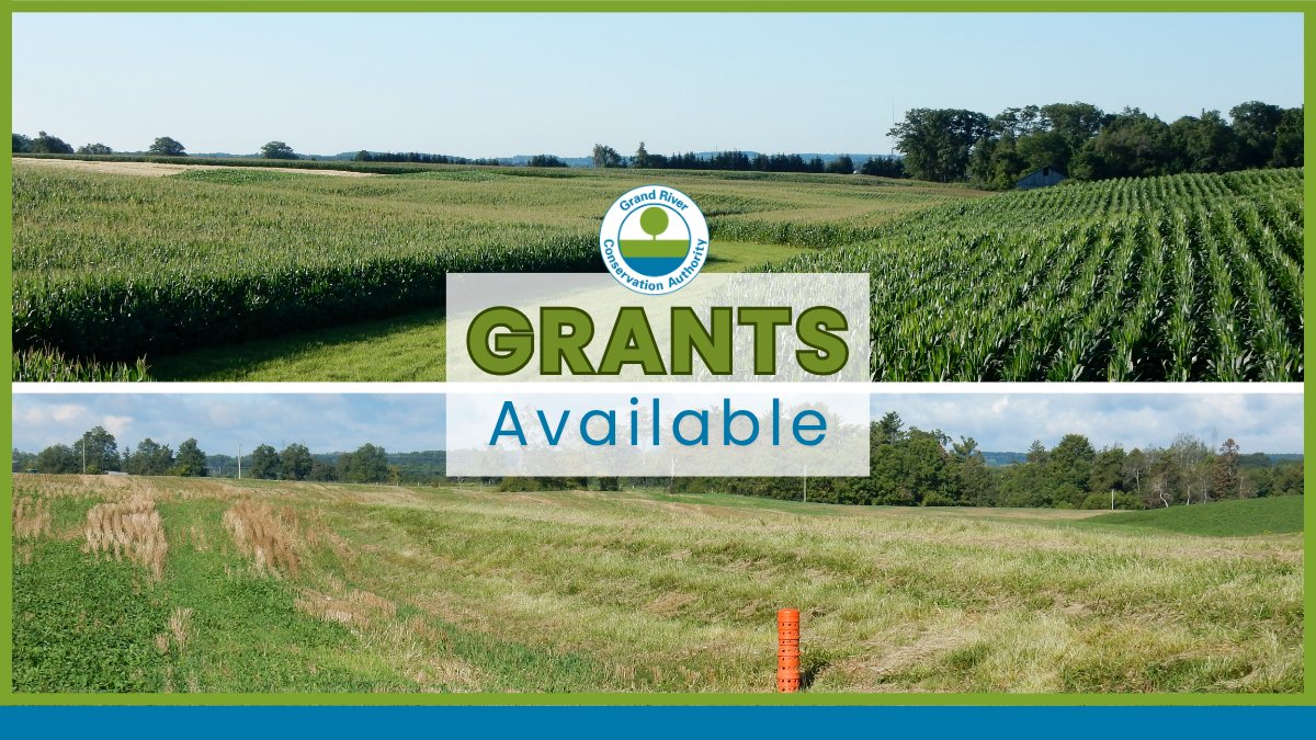 Funding is available for erosion control projects like water and sediment control basins and grassed waterways. Check out our grants at grandriver.ca/ruralwater 

#OntAg  #SoilHealth