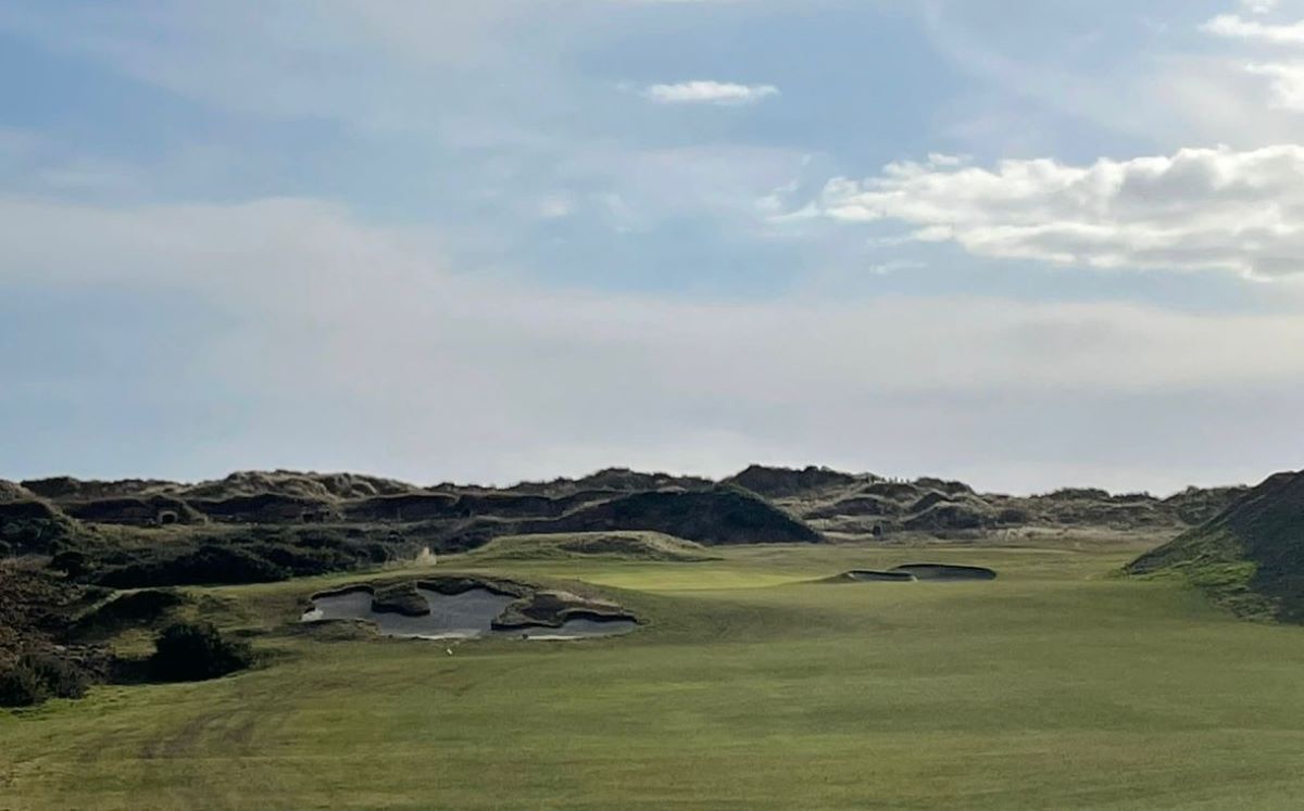 British & International Golf Greenkeepers Assn. tweet media