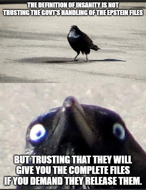 Splendid Vision tweet media