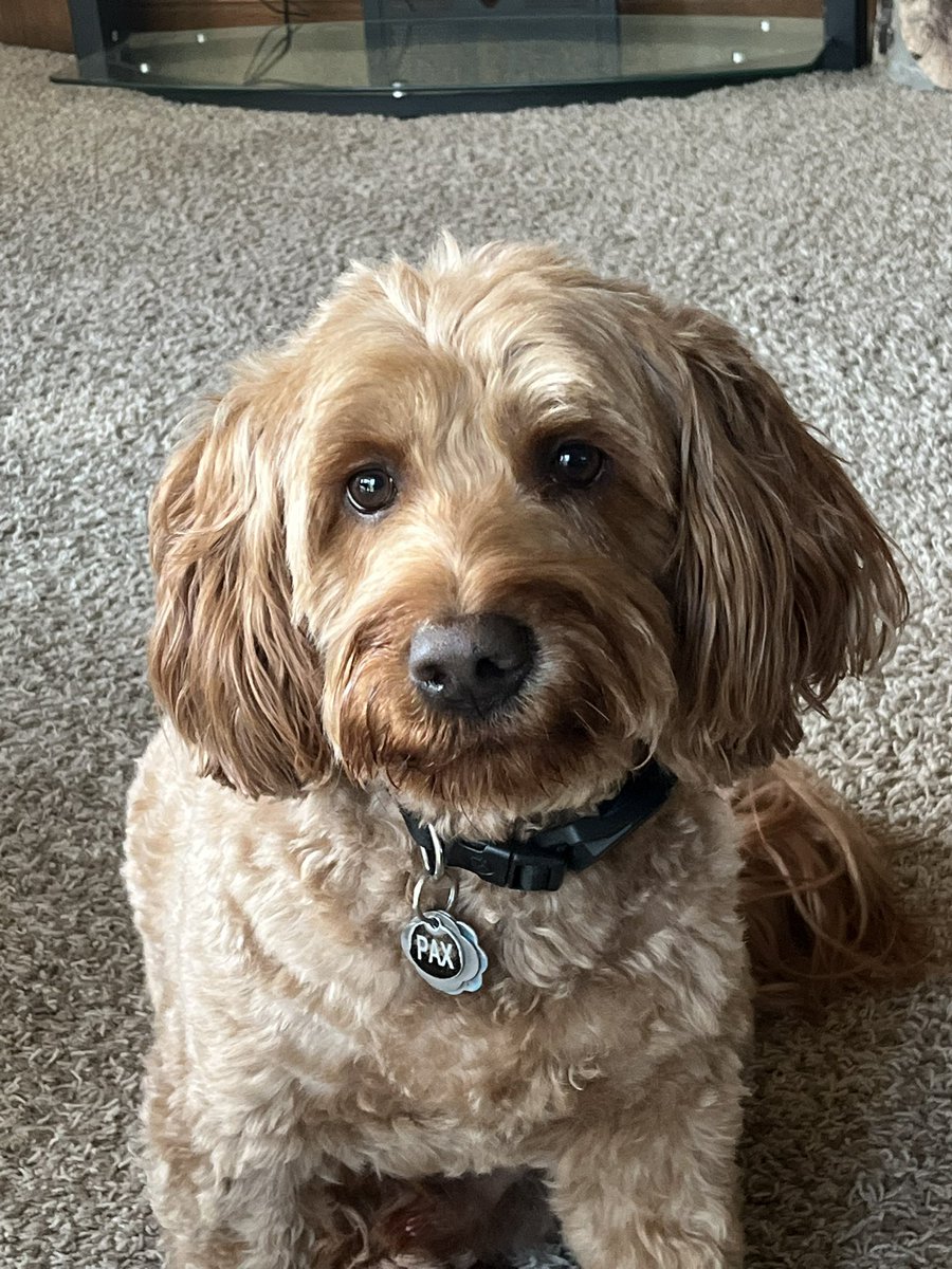 Happy Happy Birthday <a href="/tjthielen01/">Terence Thielen</a> ! Cheers to a year of everything you enjoy! From your favorite, Mr. Yellow, and family 😂