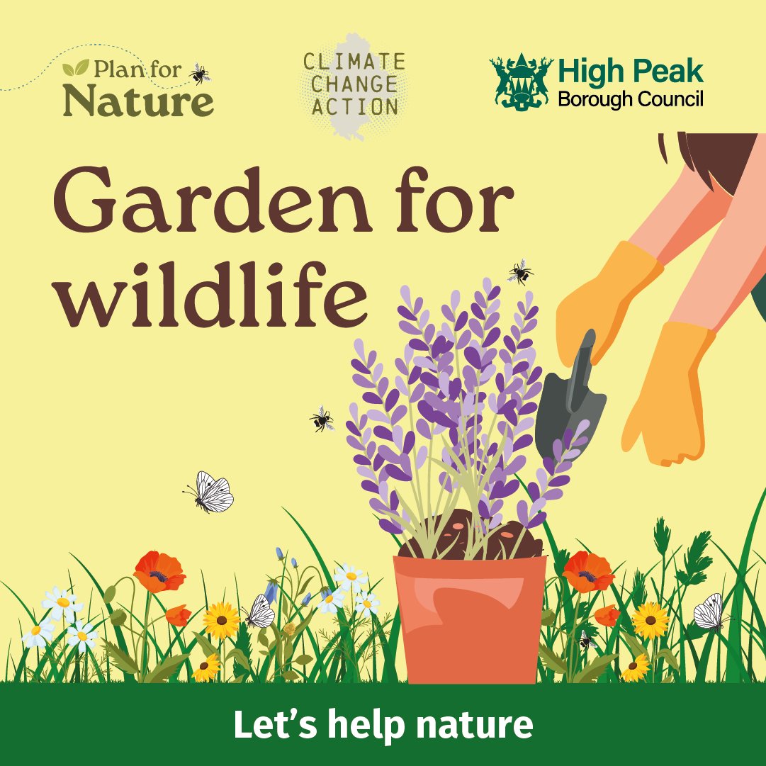 HighPeakBC's tweet image. If you want to help wildlife in your garden but aren't sure where to start, visit the Wildlife Trust website as they have all the information you need!
It's full of tips and helpful information on what nature needs in our gardens.
wildlifetrusts.org/actions/how-st…